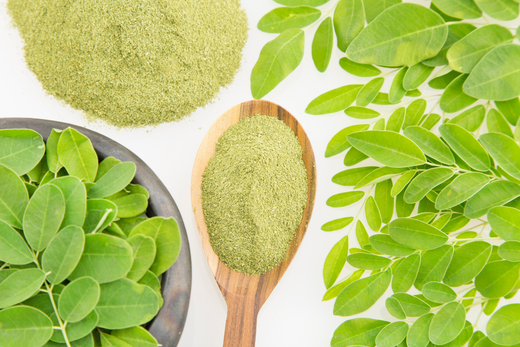 Why Moringa - Go-Lacta