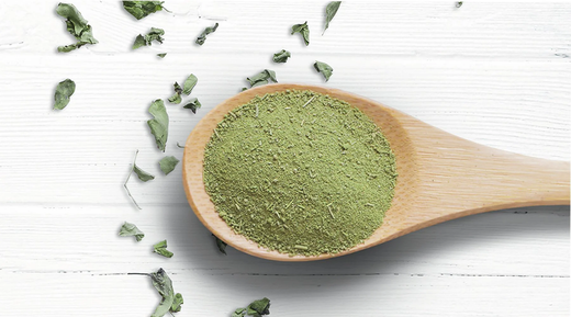 Moringa Powder vs. Moringa Capsules: Which Should You Choose