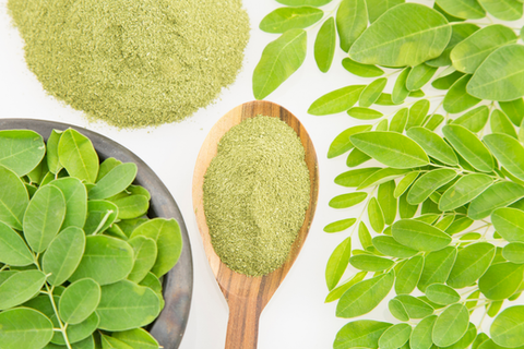 Why Moringa - Go-Lacta
